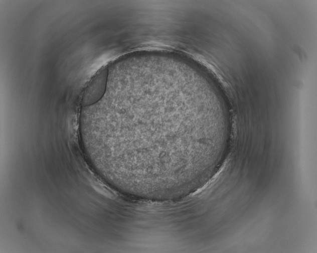 X0000112031355200908311207