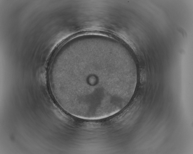 X0000112031356200908311207