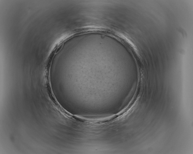 X0000112031357200908311207