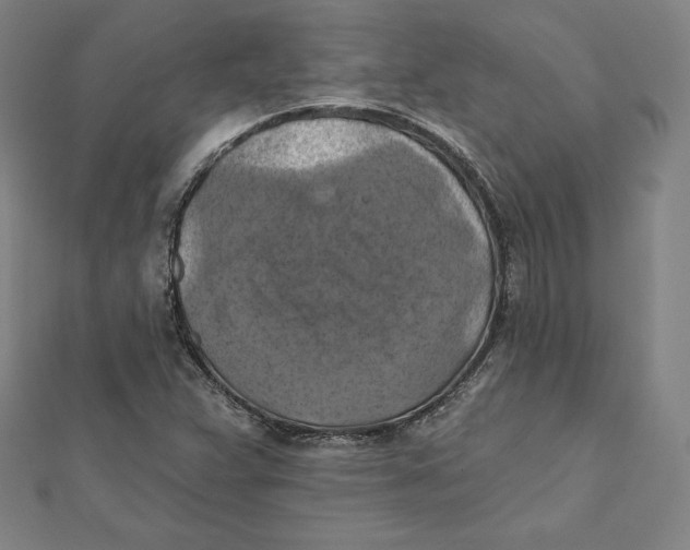 X0000112031359200908311207