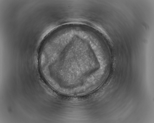 X0000112031360200908311207