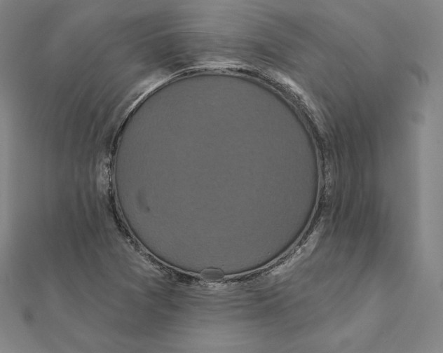 X0000112031361200908311207