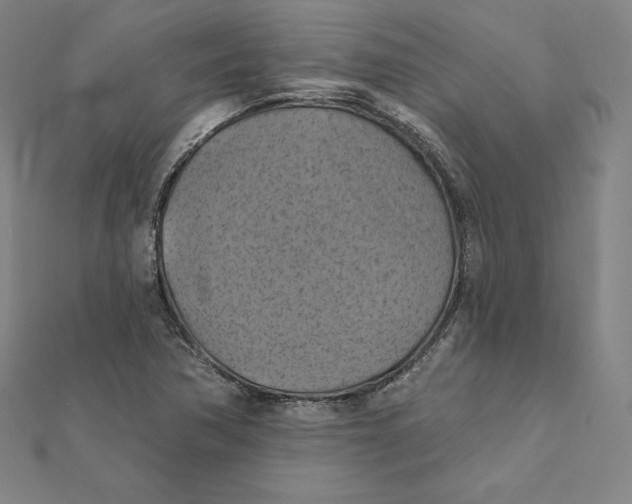 X0000112031362200908311207