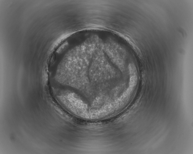 X0000112031363200908311207