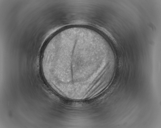 X0000112031364200908311207
