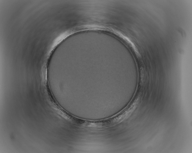 X0000112031365200908311207