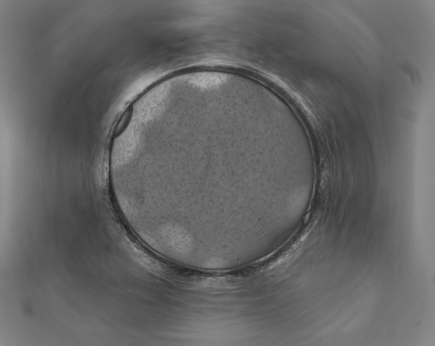 X0000112031367200908311207
