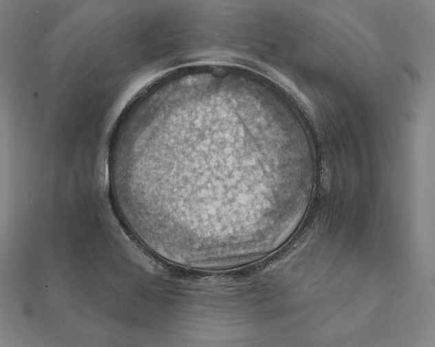 X0000112031368200908311207