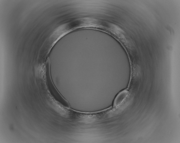 X0000112031369200908311207