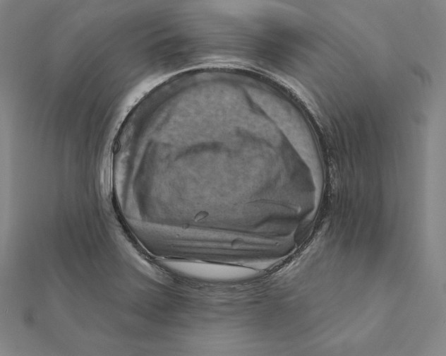 X0000112031371200908311207