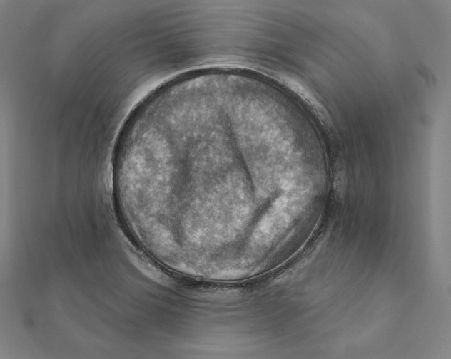 X0000112031372200908311206