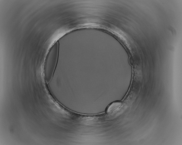 X0000112031373200908311206