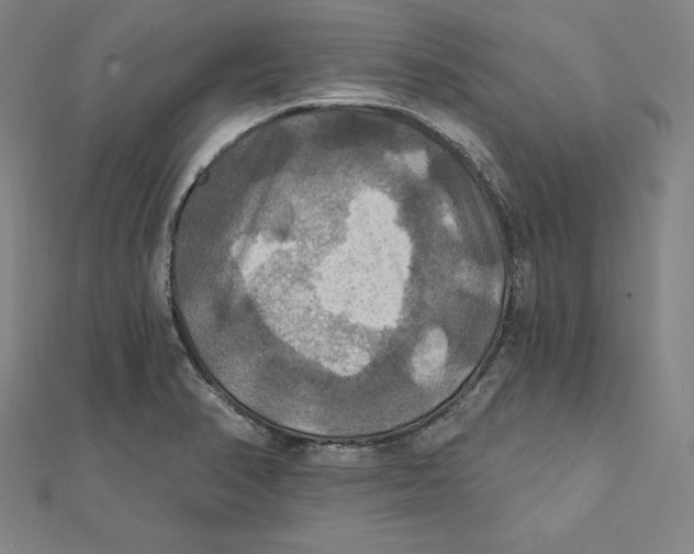 X0000112031374200908311206