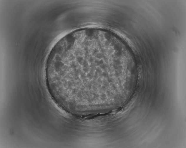 X0000112031375200908311206