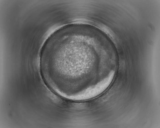 X0000112031376200908311206