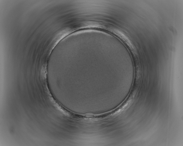 X0000112031377200908311206