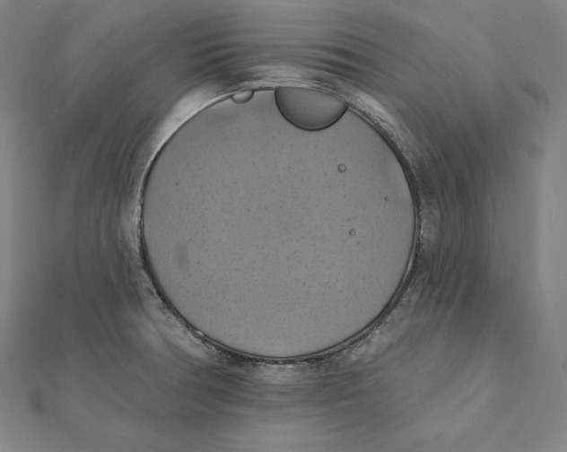 X0000112031378200908311206