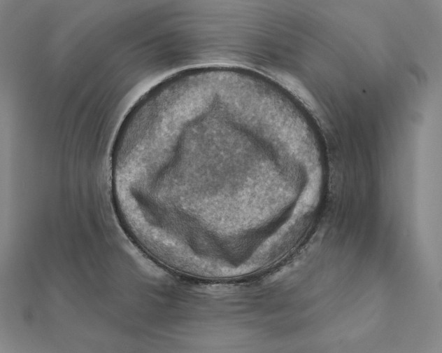 X0000112031380200908311206