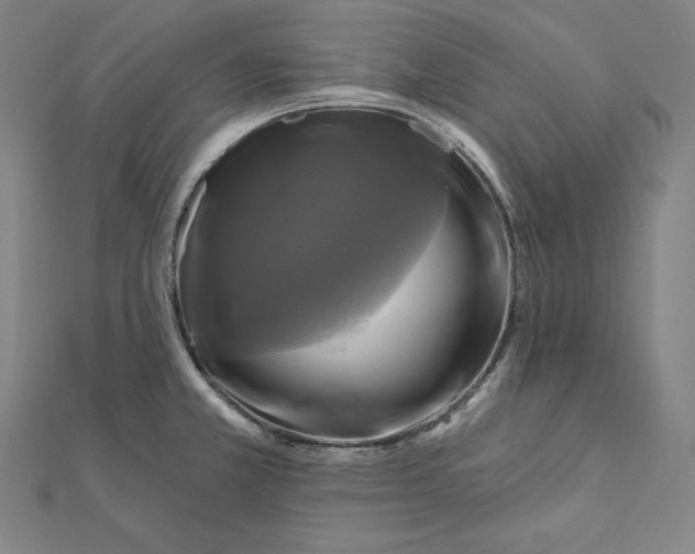 X0000112031381200908311206