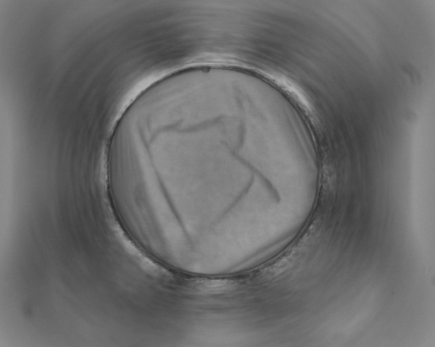 X0000112031382200908311206