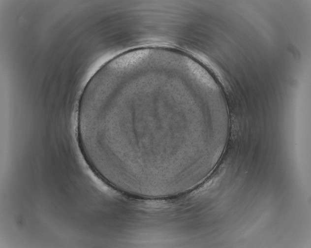 X0000112031383200908311206