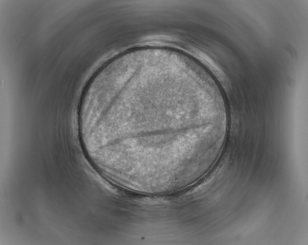 X0000112031384200908311206