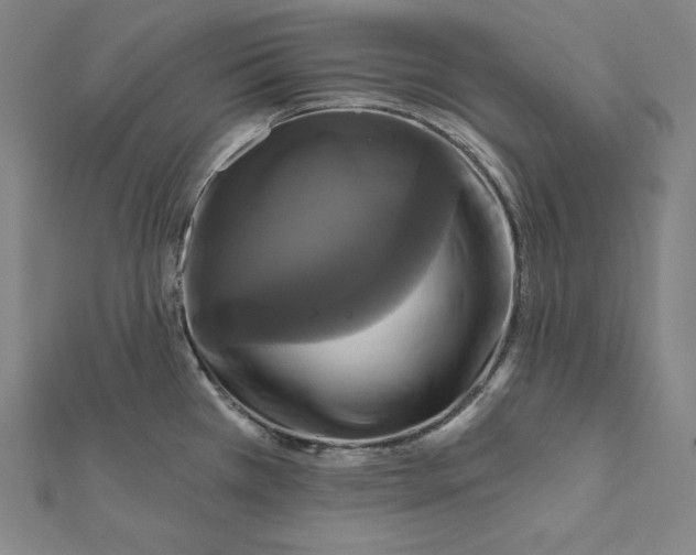 X0000112031385200908311206