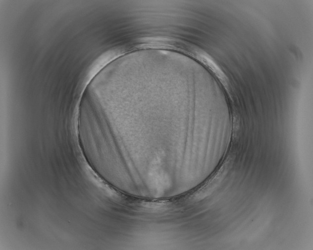 X0000112031386200908311206