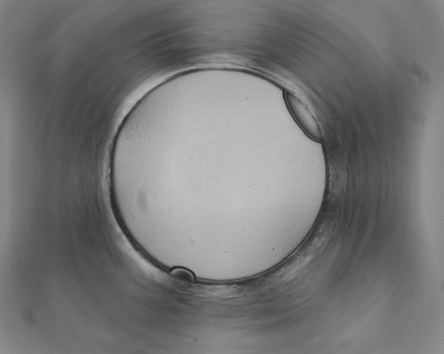 X0000112031387200908311206