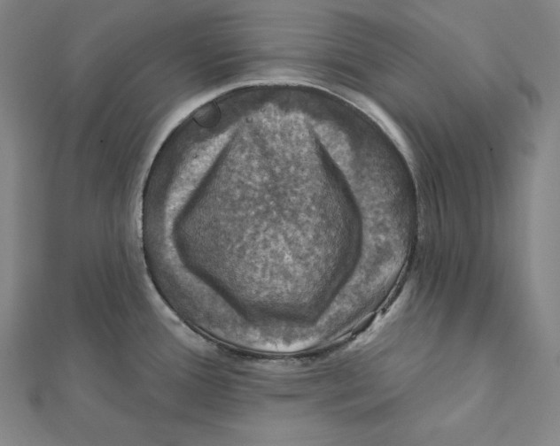 X0000112031388200908311206