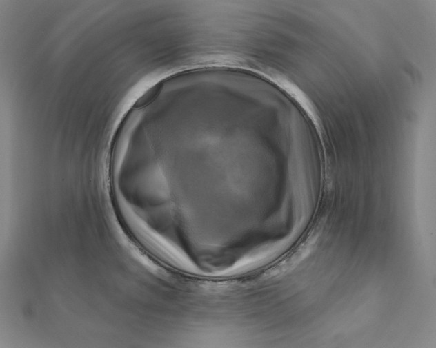 X0000112031389200908311206