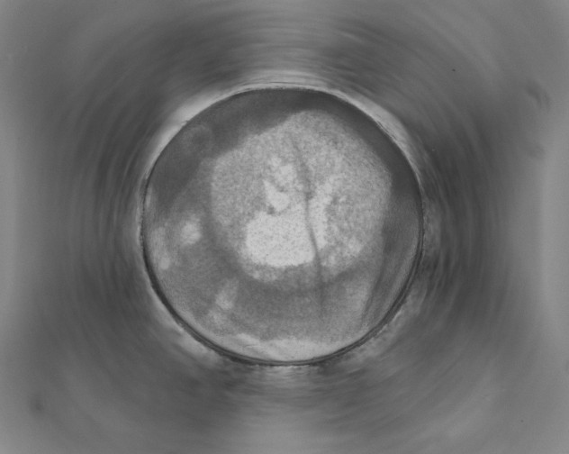 X0000112031390200908311206