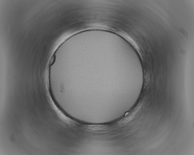 X0000112031391200908311206