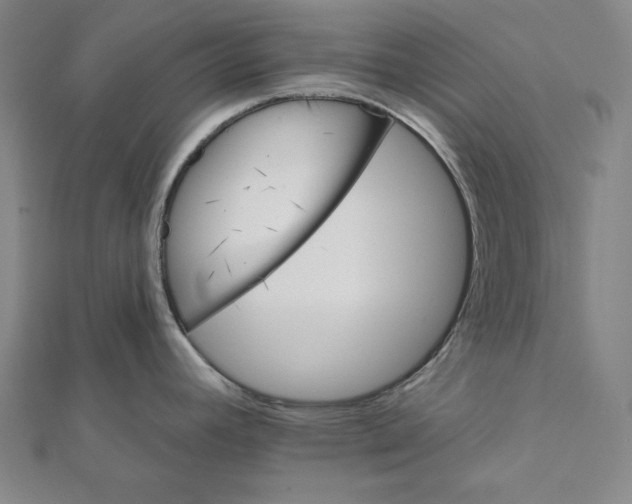 X0000112031392200908311206
