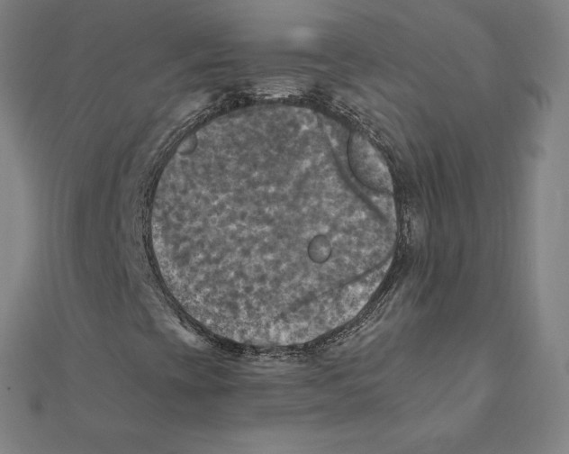 X0000112031393200908311206