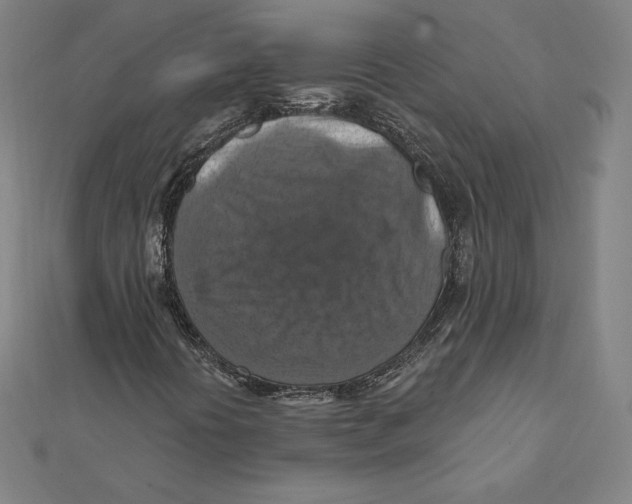X0000112031394200908311206