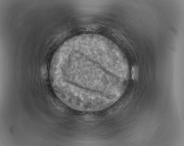 X0000112031395200908311206