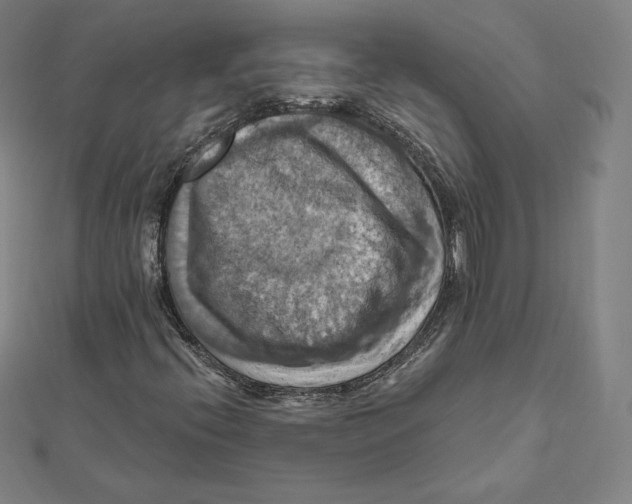 X0000112031396200908311206