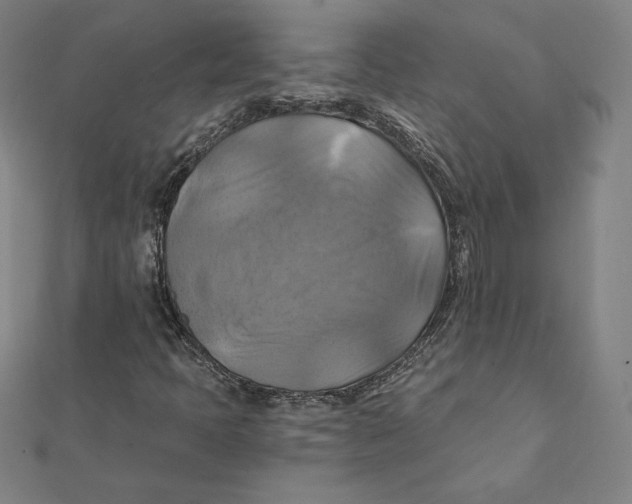 X0000112031397200908311206