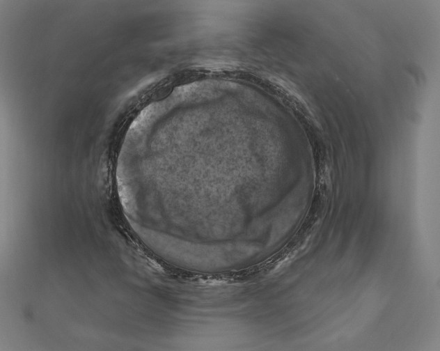 X0000112031398200908311206