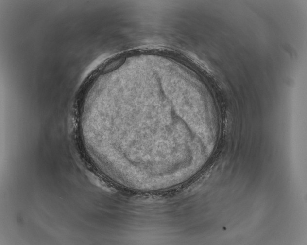 X0000112031400200908311206