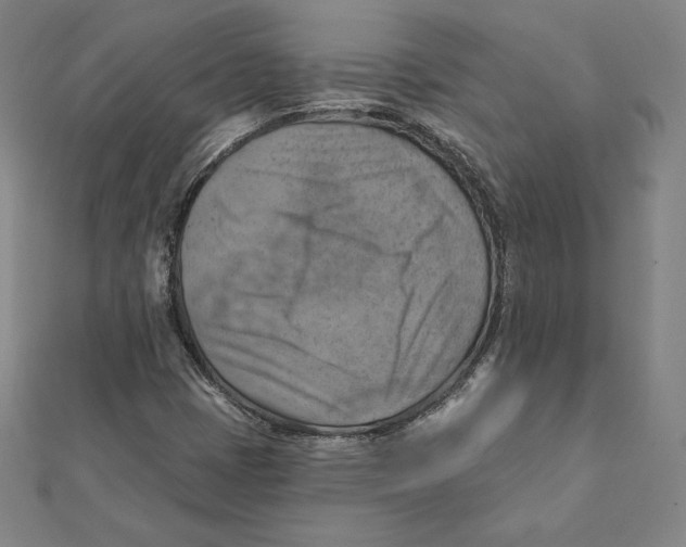 X0000112031401200908311206