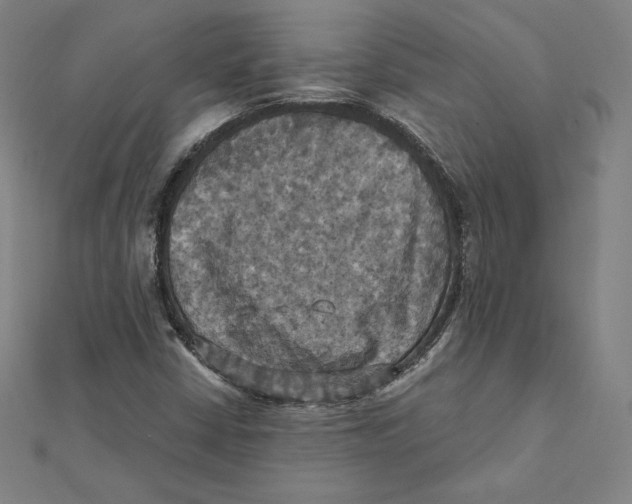 X0000112031402200908311206