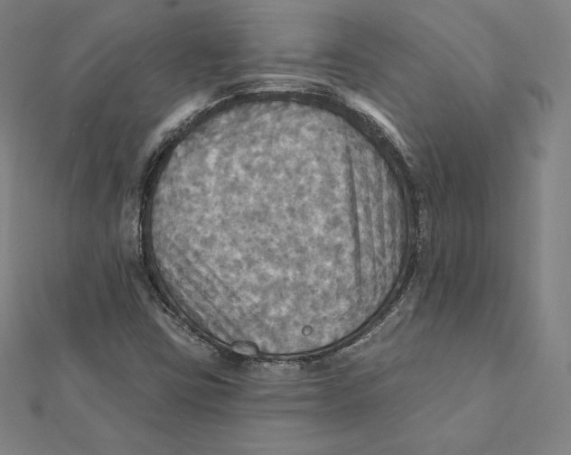 X0000112031403200908311206