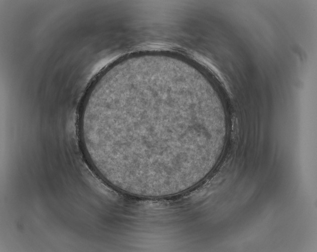 X0000112031404200908311206