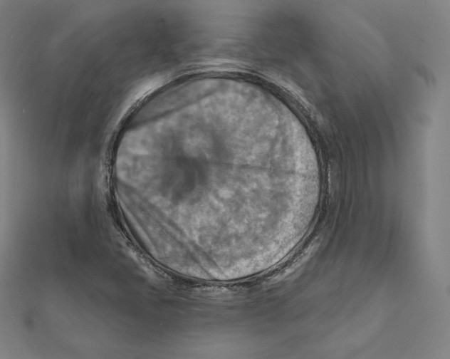 X0000112031405200908311206