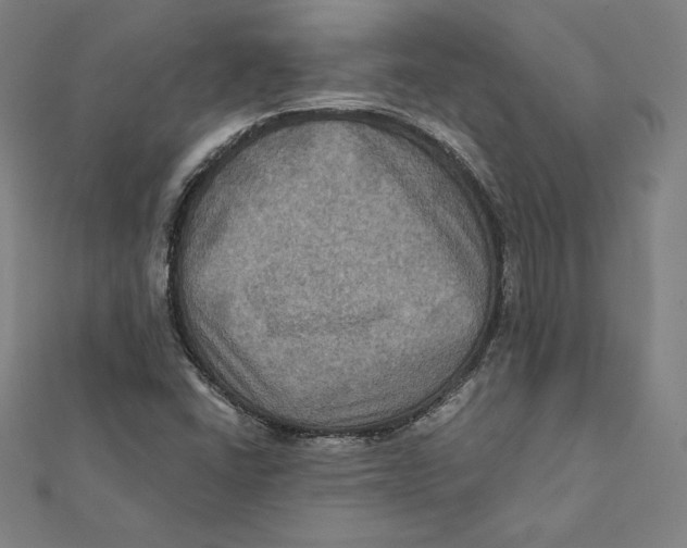 X0000112031406200908311206