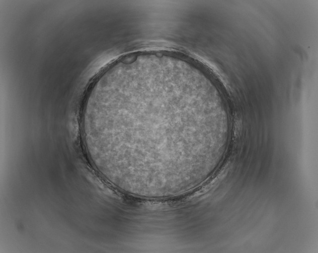 X0000112031407200908311206
