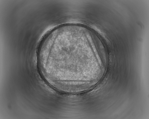 X0000112031408200908311206