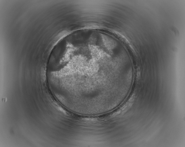 X0000112031409200908311206